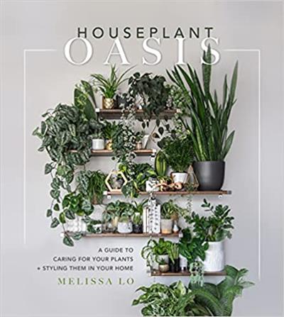 Houseplant Oasis A Guide to Caring for Your Plants + Styling Them in Your Home