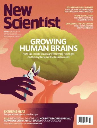 New Scientist International Edition   July 23, 2022