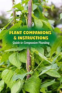 Plant Companions & Instructions Guide to Companion Planting Combinations Planting