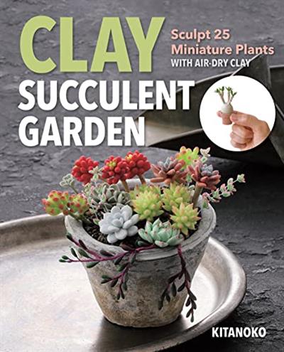 Clay Succulent Garden Sculpt 25 Miniature Plants with Air-Dry Clay