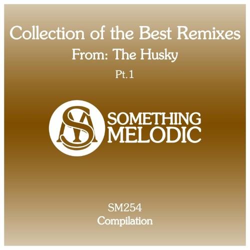 VA - Collection of the Best Remixes From: The Husky, Pt. 1 (2022) (MP3)