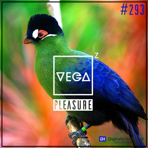 VA - Vega Z - Pleasure 293 (2022-07-27) (MP3)