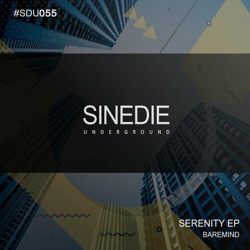 VA - Baremind - Serenity (2022) (MP3)