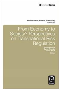 From Economy to Society Perspectives on Transnational Risk Regulation (Studies in Law, Politics, and Society)