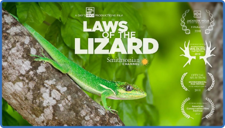 Laws of The Lizard (2017) 720p 10bit WEBRip x265-Budgetbits