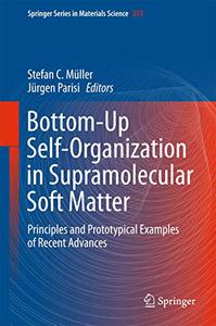 Bottom-Up Self-Organization in Supramolecular Soft Matter Principles and Prototypical Examples of Recent Advances 