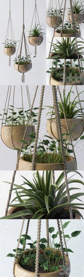 Decorative set of flower pots 3D Model