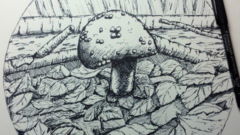Drawing Nature – Autumn Edition