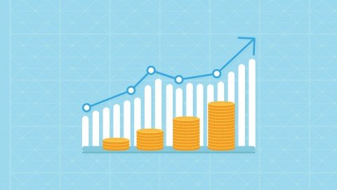Udemy - Capital Markets Immersion