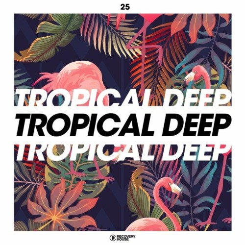 VA - Tropical Deep, Vol. 25 (2022) (MP3)