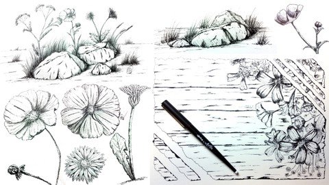 Drawing Nature - Flowers And Rocks Edition