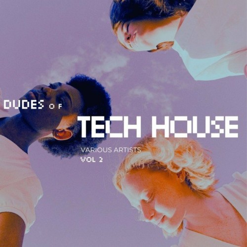 VA - Dudes of Tech House, Vol. 2 (2022) (MP3)