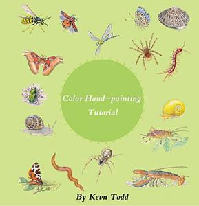 Color Hand-painting Tutorial Hand-painted Cute Animals