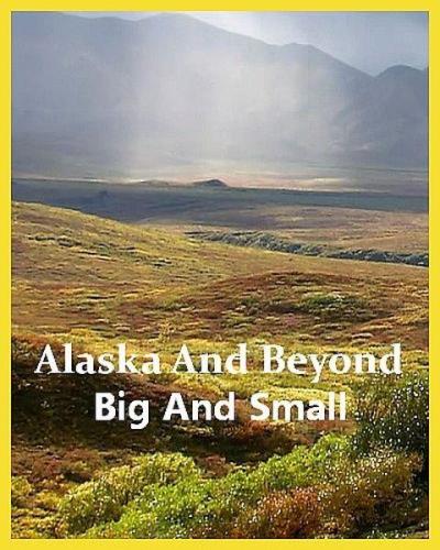  :     / Alaska And Beyond: Big And Small (2022) HDTVRip 720p