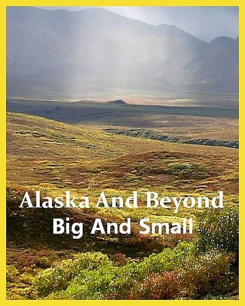 Фауна Аляски: От мала до велика / Alaska And Beyond: Big And Small (2022) HDTVRip 720p
