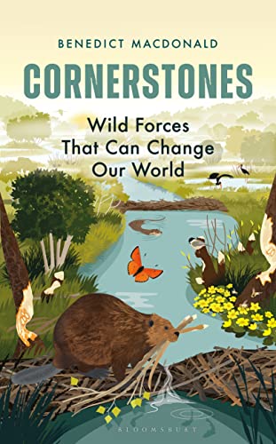 Cornerstones Wild forces that can change our world