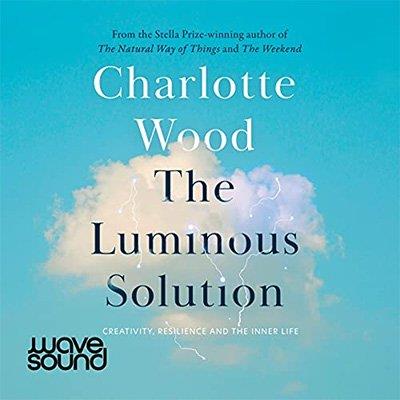 The Luminous Solution (Audiobook)