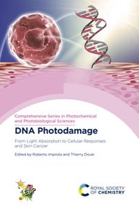 DNA Photodamage  From Light Absorption to Cellular Responses and Skin Cancer