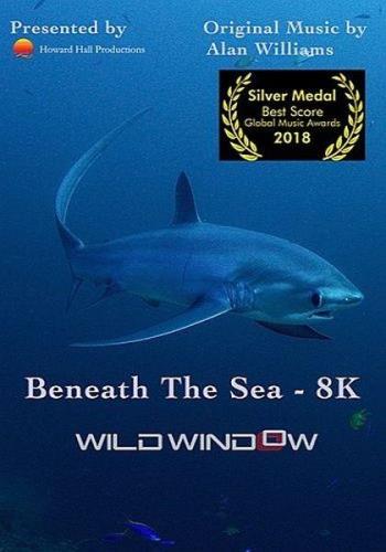 Окно дикой природы - Взгляд в глубину / Wild Window: Beneath the Sea (2018) UHDTV 2160p