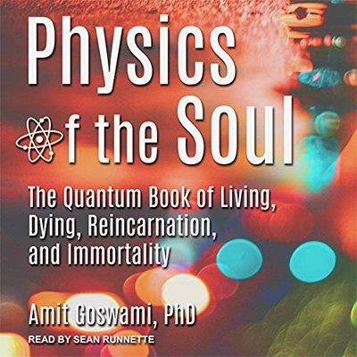 Physics of the Soul The Quantum Book of Living, Dying, Reincarnation, and Immortality (Audiobook)