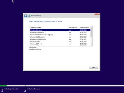 Windows 11 21H2 Build 22000.795 AIO 13in1 (No TPM Required) With Office 2021 Pro Plus Preactivated (x64) 7dc64a0743b0afcfbe70e9944d8cfa05