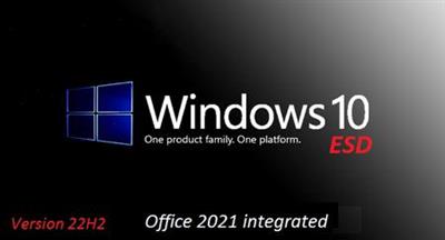 Windows 10 Pro 22H2 Build 19045.1865 incl Office 2021 en-US July 2022 (x64)