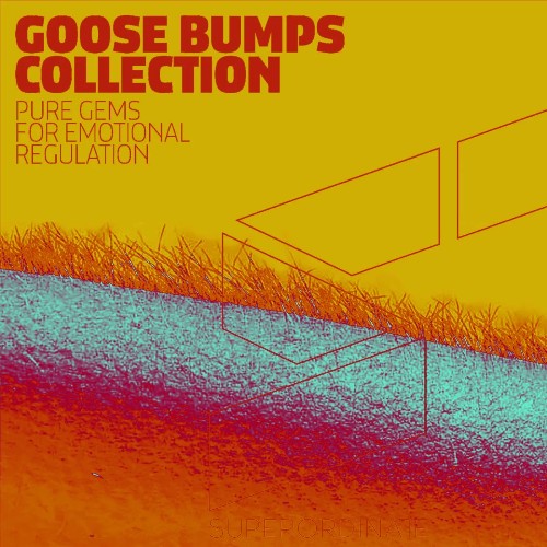 Goose Bumps Collection, Vol. 8 (2022)
