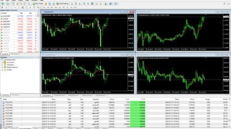 Trading Secrets: My Simple B-Band Forex 90% Win Rate Method