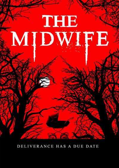 The Midwife (2021) PROPER 1080p WEBRip x264-RARBG