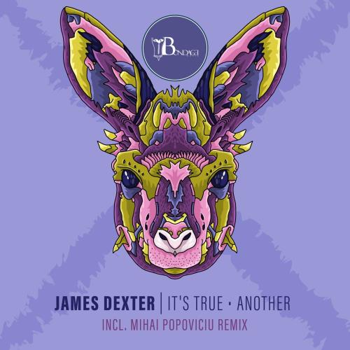 VA | James Dexter - It's True / Another (2022) MP3