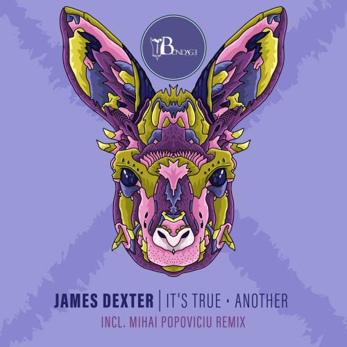 VA - James Dexter - It's True / Another (2022) (MP3)