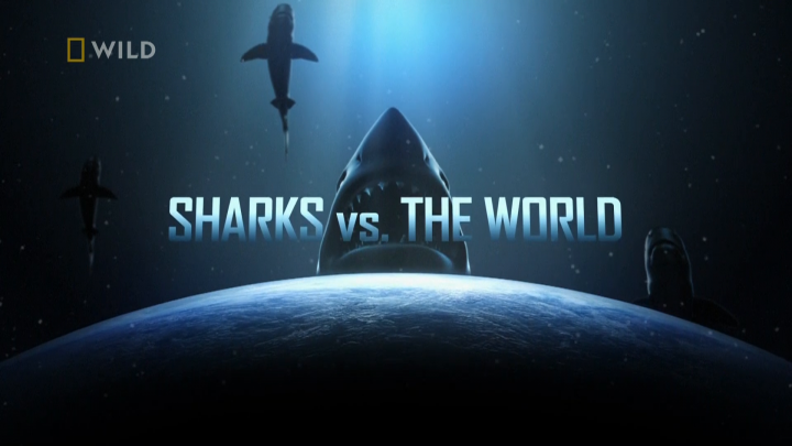 Rekiny kontra świat / Sharks Vs The World (2022) PL.1080i.HDTV.H264-B89 | POLSKI LEKTOR