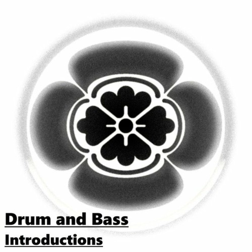 VA - Drum & Bass Introductions (2022) (MP3)