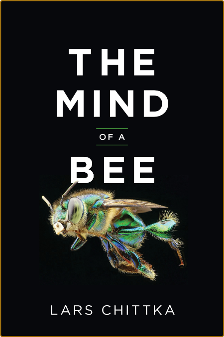 The Mind of a Bee by Lars Chittka  D56cc16b01d9b4ebeb75c58ac6dc9645