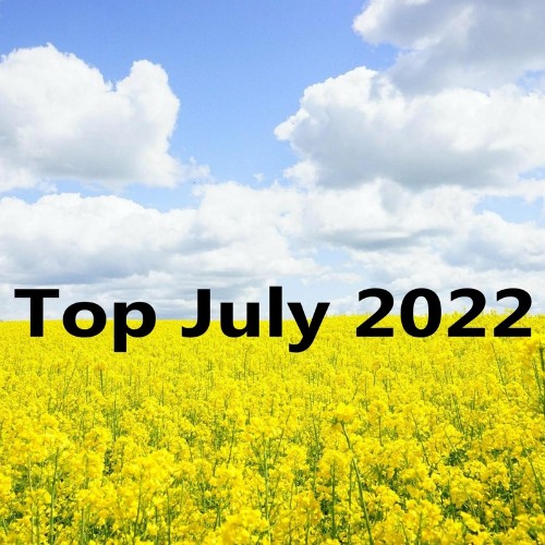 VA - Top July 2022 (2022) (MP3)
