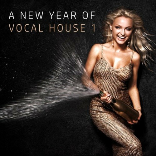 VA | A New Year of Vocal House, Vol. 1 (2022) MP3