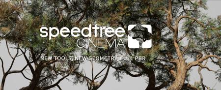 SpeedTree Modeler 9.1.3 Cinema Edition (x64) 2489bda071b93d4d2bb1fac84c61a7aa