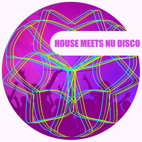 VA - House Meets Nu Disco (2022) (MP3)