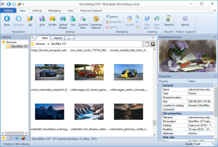 WinCatalog 2021.4.3.801 Multilingual
