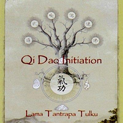 Qi Dao Initiation (Audiobook)