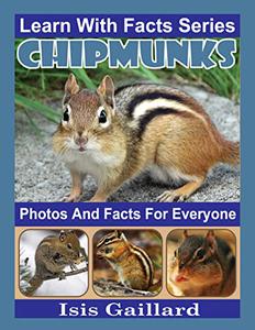 Chipmunks Photos and Facts for Everyone Animals in Nature