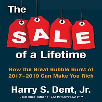 The Sale of a Lifetime How the Great Bubble Burst of 2017-2019 Can Make You Rich [Audiobook]