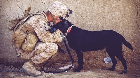 Udemy – The Comprehensive PTSD Course