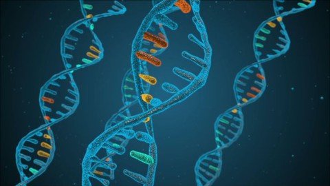 Genetic Algorithms What They Are And How To Build One