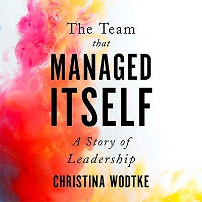 The Team That Managed Itself A Story of Leadership (Audiobook)