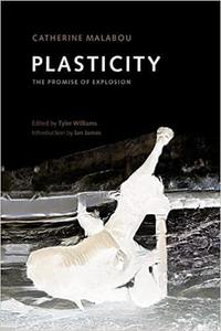 Plasticity The Promise of Explosion