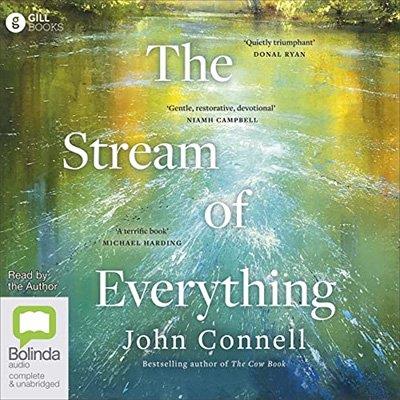 The Stream of Everything (Audiobook)