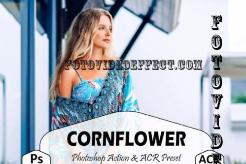 10 Cornflower Photoshop Actions And ACR Presets, Santorini - 1932921