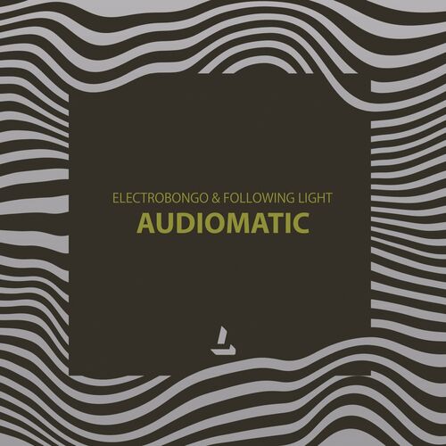 VA - ElectroBongo & Following Light - Audiomatic (2022) (MP3)