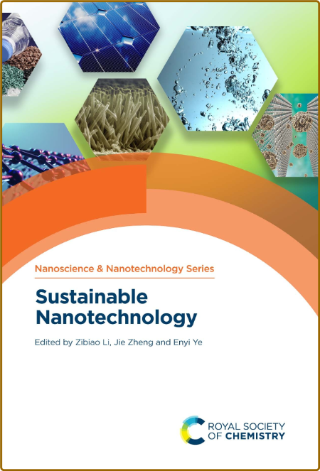 Sustainable Nanotechnology (Issn), 1st Edition